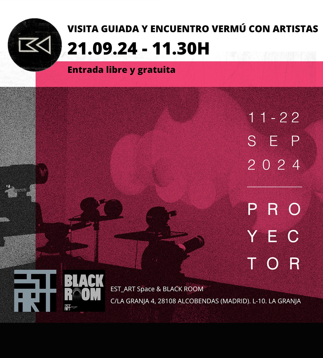 Visita Guiada Festival Proyectos. Festival de videoarte e imagen en movimiento. BLACKROOM y EST_ART Space Alcobendas, Madrid